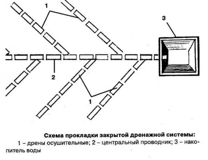8.jpg?lang=ru